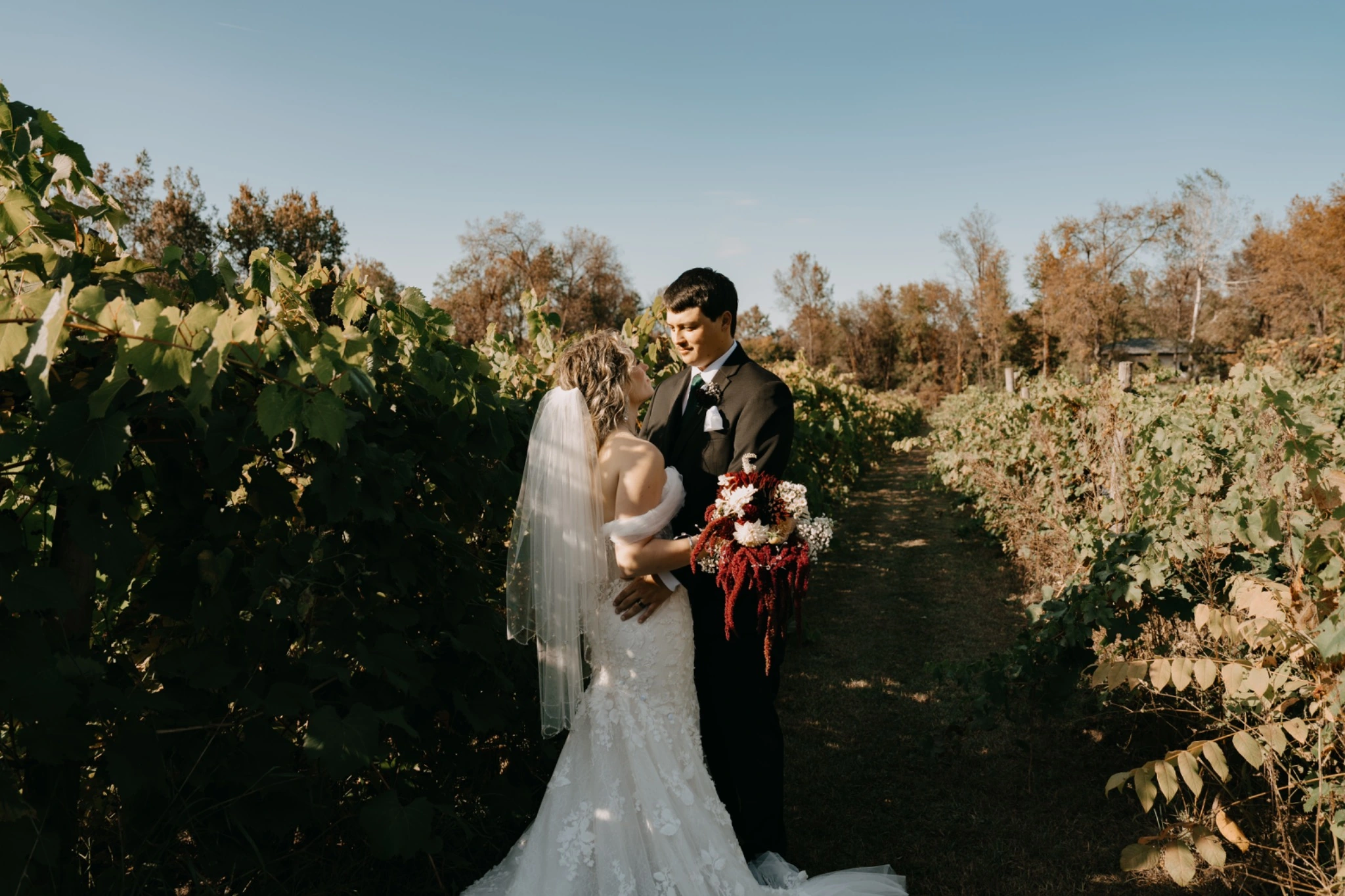 Newlyweds standing together in a vineyard at golden hour